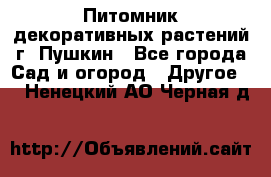 Питомник декоративных растений г. Пушкин - Все города Сад и огород » Другое   . Ненецкий АО,Черная д.
